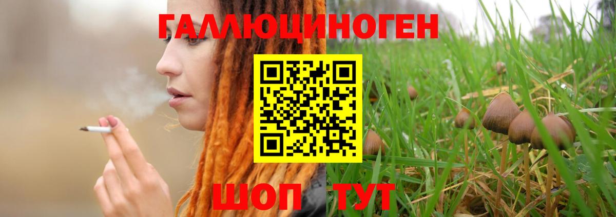 наркотики  Вход с VPN  Набережные Челны  Псилоцибиновые грибы Psilocybine cubensis 